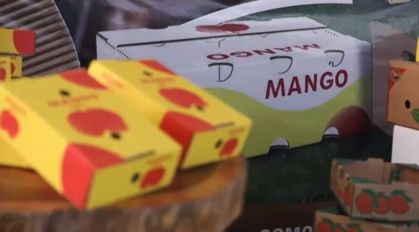 Agricultura fortalece medidas fitosanitarias para impulsar exportación de mangos Europa y EEUU