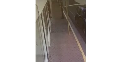 Captados en cámara quedaron cuatro jóvenes que asaltaron joyería de Santiago