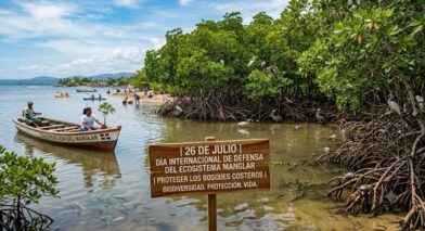 Día Internacional de Defensa del Ecosistema Manglar: un llamado a proteger los bosques costeros