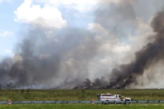 Los incendios en Florida arrasan más de 10.000 hectáreas en medio de una severa sequía