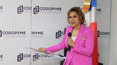 ProCompetencia plantea modernizar ley de competencia para enfrentar desafíos de la economía digital