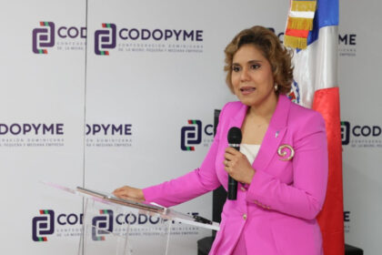 ProCompetencia plantea modernizar ley de competencia para enfrentar desafíos de la economía digital