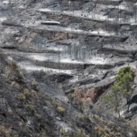 Ciencia e incendios: expertos del CSIC asesoran sobre la evolución del fuego