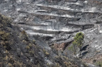Ciencia e incendios: expertos del CSIC asesoran sobre la evolución del fuego