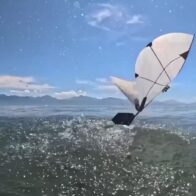 Crean un robot que puede volar y nadar como un ave buceadora: el método para explorar ecosistemas oceánicos