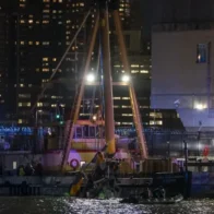 Un informe vincula impacto de aves en el accidente de helicóptero en el que murió familia española en Nueva York