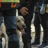 Rescatistas intentan salvar a un niño de nueve años tras ocho días de los terremotos en Venezuela