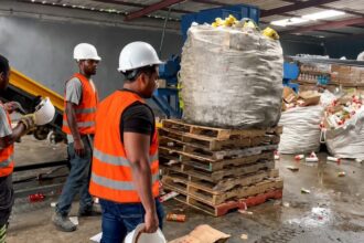 Destruyen casi 20 toneladas de alimentos vencidos y adulterados incautados en San Cristóbal