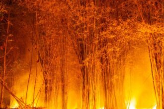 12 muertos y 8 heridos en un incendio en el sur de España, el más grave hasta la fecha