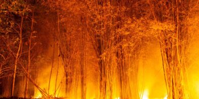 12 muertos y 8 heridos en un incendio en el sur de España, el más grave hasta la fecha