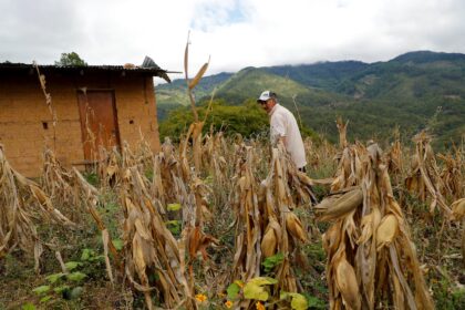 El 23% de la población centroamericana bajo presión económica por inseguridad alimentaria