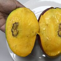 Mango.