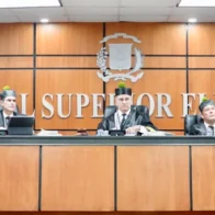 TSE remite al Tribunal Constitucional recurso contra reglamento de encuestadoras de la JCE