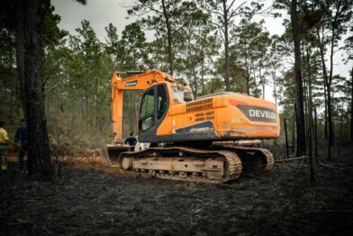 Medio Ambiente confirma control del 99 % del incendio forestal en la Sierra de Bahoruco