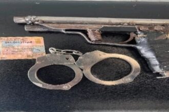 PN intensifica operativos y logra múltiples arrestos, recuperación de evidencias y ejecución de órdenes judiciales