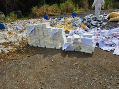 El Inacif destruye más de una tonelada de drogas