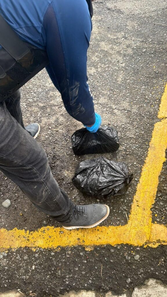 DINTEL ocupa más de ocho libras de presunta marihuana y arresta a dos hombres durante operativo | 1 | DINTEL ocupa más de ocho libras de presunta marihuana y arresta a dos hombres durante operativo - Noticias de hoy en República Dominicana | De Último Minuto