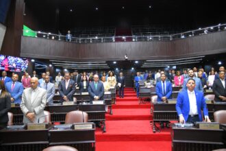 Diputados aprueban en segunda discusión proyecto de modificación al nuevo Código Penal
