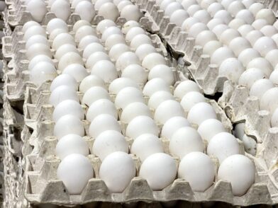 Huevos.
