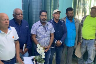 Productores arroceros de Dajabón denuncian dificultades por operativos migratorios y piden diálogo con las autoridades