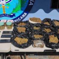 Operativo del DINTEL en Capotillo deja drogas, 46 tragamonedas y más de mil tarjetas presuntamente destinadas a clonación