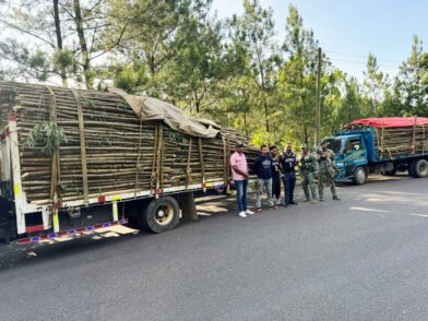 Ejército incautan cargamento de madera sin documentación legal en Santiago