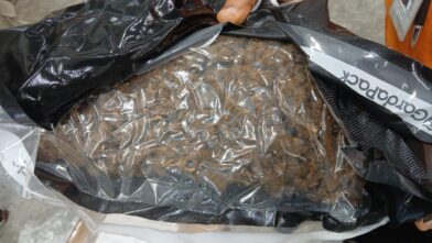 DNCD incauta ocho paquetes y cinco latas con marihuana durante operativos en el AILA