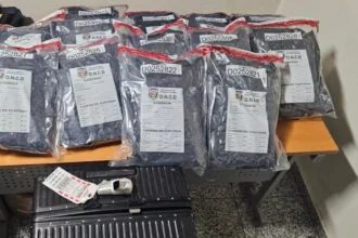 DNCD incauta 25 paquetes de presunta marihuana ocultos en una maleta llegada desde Nueva York