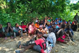 Ejército detiene a 49 haitianos indocumentados en Valverde, entre ellos dos mujeres y un menor de edad
