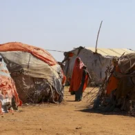 ONU: El hambre afecta a 645 millones de personas en el mundo, aunque se redujo en 2025