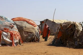 ONU: El hambre afecta a 645 millones de personas en el mundo, aunque se redujo en 2025