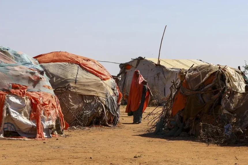 ONU: El hambre afecta a 645 millones de personas en el mundo, aunque se redujo en 2025