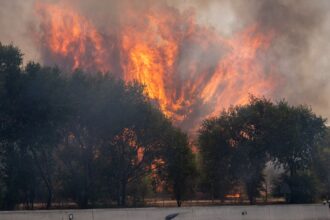 Incendios forestales obligan a evacuar a 73,000 personas en Madrid y Ávila