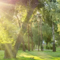 Calor intenso predominará este sábado; prevén chubascos aislados durante la tarde