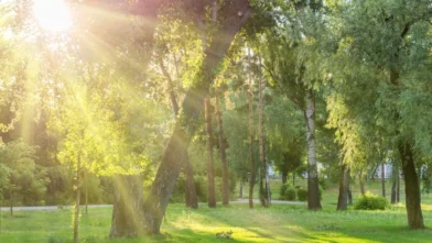 Calor intenso predominará este sábado; prevén chubascos aislados durante la tarde