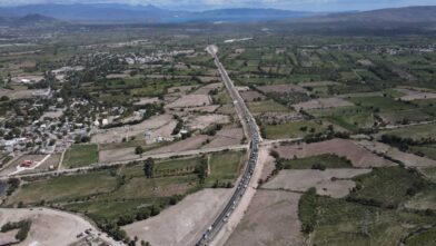Gobierno anuncia plan para sembrar 10 millones de plantas en carreteras y avenidas del país