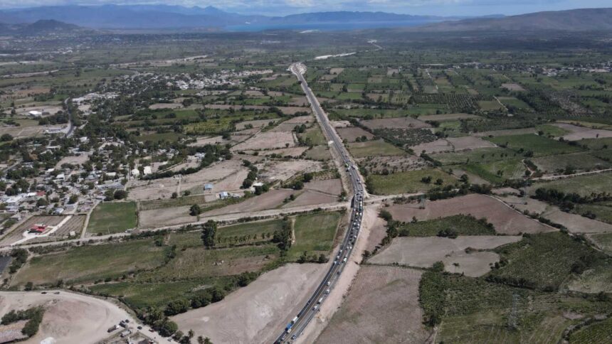 Gobierno anuncia plan para sembrar 10 millones de plantas en carreteras y avenidas del país