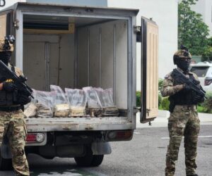 DNCD ocupa 321 paquetes de presunta cocaína ocultos en contenedor en Puerto Caucedo