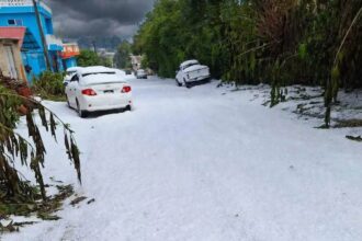 Nieve
