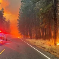 Estados Unidos declara la emergencia para combatir los incendios sin control en el noroeste