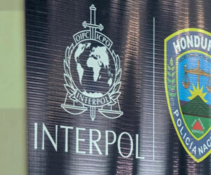 Interpol captura en Honduras a ecuatoriano acusado de atropello mortal en Nueva York