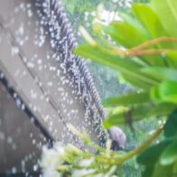 Vaguada y onda tropical provocarán aguaceros este lunes; persiste el intenso calor