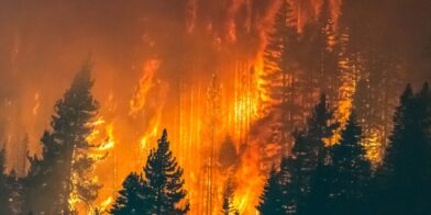 Incendios forestales azotan Europa: decenas de heridos y miles de evacuados