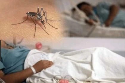 Dengue suma 11 casos en una semana y llega a 213 contagios en 2026
