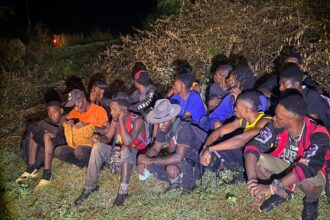 Interceptan a 47 migrantes haitianos indocumentados