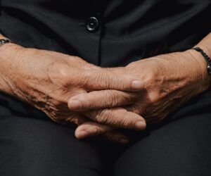 Estudio de PUCMM vincula la microbiota intestinal con el riesgo de deterioro cognitivo