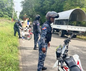 Policía recupera vehículos y motocicletas, ocupa armas y apresa a 14 personas en SDN