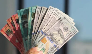 Pesos dominicanos y dólares.