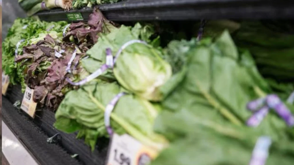 Brote de ciclosporiasis por lechuga contaminada deja dos muertos y más de 11 mil casos en Michigan